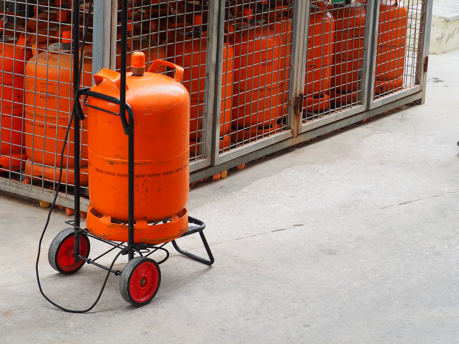 Gas Cylinder: 2024 Latest Price